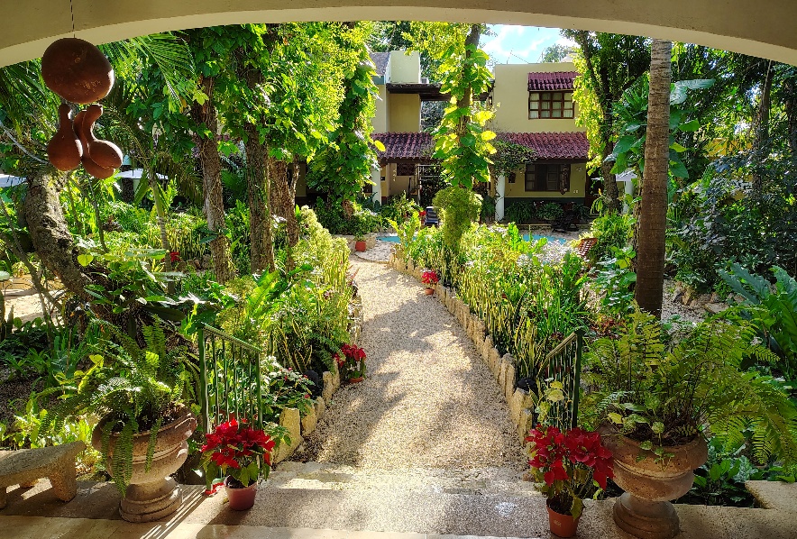 A photo of the Casa Quetzal gardens