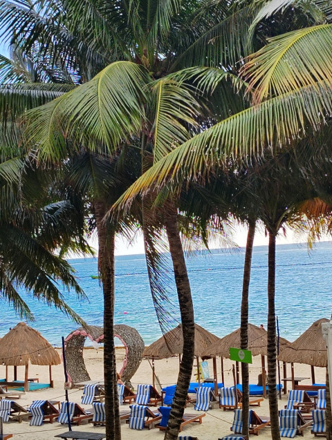 Photo of the beach at Morning taken at the Ojo del Aqua Hotel and Beach Club
